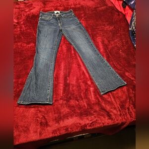 Denizen From Levi's